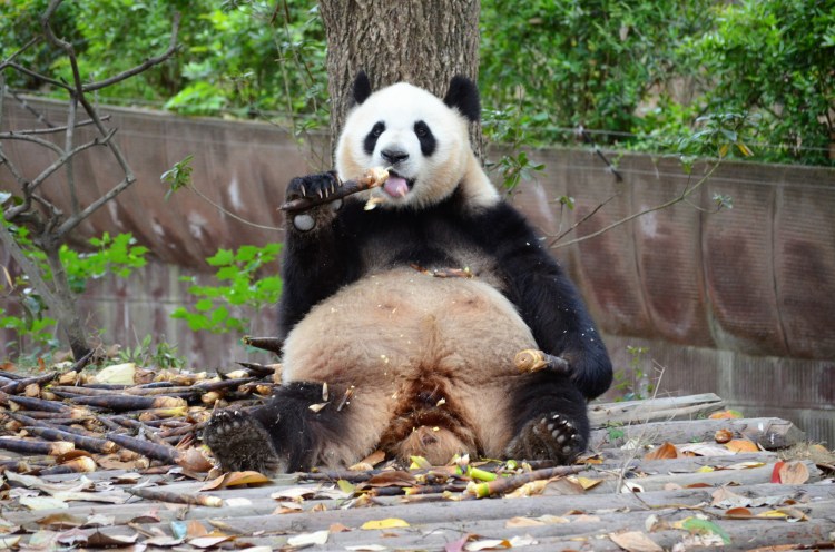 Misfits to Good&nbsp;Fits