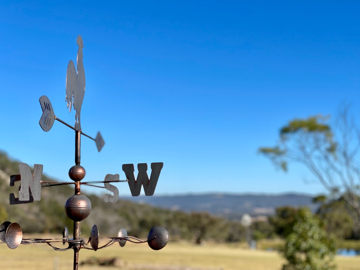 Mojo Crowe – A Journey of Self&nbsp;Reflection