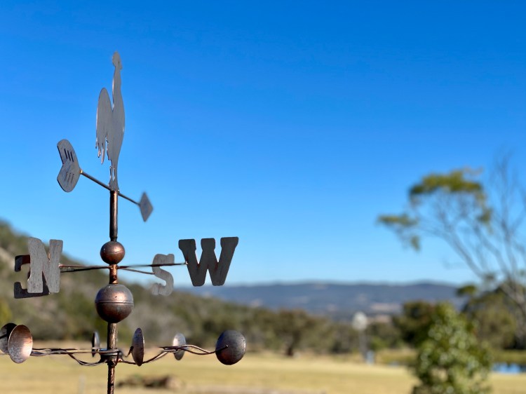 Mojo Crowe – A Journey of Self&nbsp;Reflection